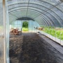 김현숙농장 이미지