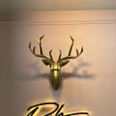 (주)에이치엠앤테크 | [골드] 종로 디어에이치주얼리 14K 할로우 이태리 로프체인 꽈배기 목걸이