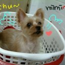 화곡4동 이미지