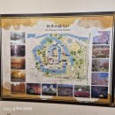 나라세운호랑이 | 일본 오사카 대표 관광지 "오사카성"