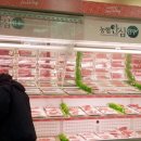 경기 침체 속 한우 값 강세는 왜? 이미지