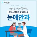 눈애안경콘택트 이미지