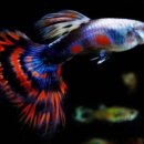 용은1리경로당 이미지