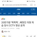 [국내이슈] 배현진 죽다 살아났네???? 돌로 20방 맞음.... 이미지