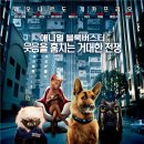 캣츠앤독스 아시아경제