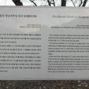 삼동면 물건1 이미지