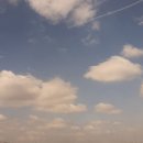 덕이네 진한소머리국밥 이미지