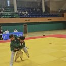 용인대 리더 태권도 이미지