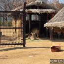 센트럴파크-2 | 인천 송도 센트럴파크 방문 후기