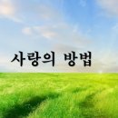 성도의 사랑의 방법(베드로전서 1:22) 25년 3월 16일 주일 설교 이미지