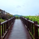 장미공원A 이미지