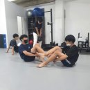 홍천롤링스타주짓수