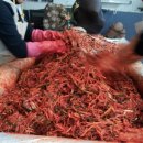 경기도장애인복지회부천시지부 이미지