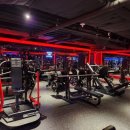 와이투짐 야탑역점 | 첫 운동 경험기, 분당 헬스장 와이투짐 야탑역점 후기