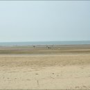 사구해수욕장2 이미지