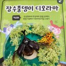 장수풍뎅이(Big beetle) | 장수풍뎅이 디오라마 수업후기