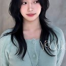 개묭실 | 드디어 머리 감당 불가... 묭실 유목민 탈출기!