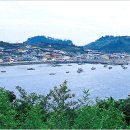 [바다여행/해양수산부 선정 아름다운 어촌/전남 여수시] 장촌마을 이미지