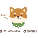 달네일
