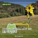 신호원 | 2025 전남 고향사랑마을 활성화 사업 - 체험단 리뷰