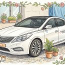 온정메디칼 네이버블로그
