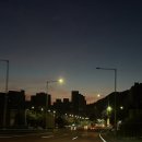 성진카정비 | 오키나와 1 • 🐠🌴🐚🤿