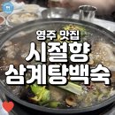 건강한 한방능이가 들어간 닭백숙! 영주역맛집 시절향삼계탕백숙! (+해랑열차)