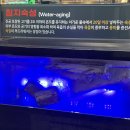 돈땡이 | 경성대고기집 추천 ‘돈땡이’ 방문후기