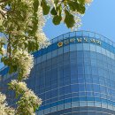 희양중학교 이미지