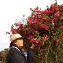 유러하우스민박 이미지