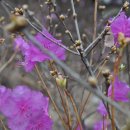 산업도로변 이미지