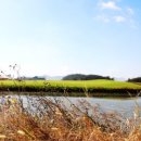 셀프골프 이미지