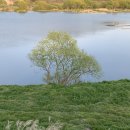 옛섬진강 이미지