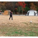 미르오토캠핑장 이미지