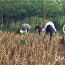 군서면사무소 이미지