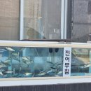 성윤횟집 이미지