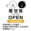 룩앳독 이미지