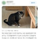양덕동물병원 네이버블로그