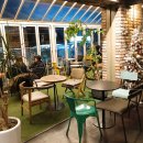 코피티암 이미지