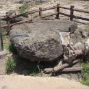 동일리-4 이미지