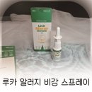 코막힘에 좋은 루카 알러지 비강 스프레이 사용 후기
