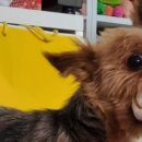 덕분이야모든개 이미지