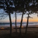 동해망상오토캠핑리조트 이미지