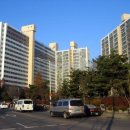 백송한신@ 이미지