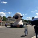 평일 반차내고 🎡 에버랜드 오후권 입장후기 🤘 ( 대기시간, 나이트 사파리, 불꽃놀이 ⭐️)