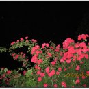 삼각산약수터 이미지