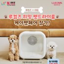 케이프린트 이미지