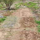 관리농장 이미지