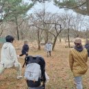 도토리숲속학교 이미지