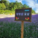 여의주부동산공인중개사사무소 이미지